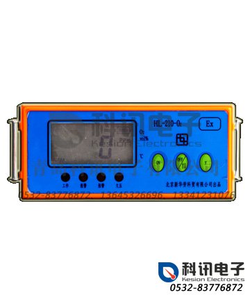 便携式氧体检测仪（自带吸气泵）HL-210型